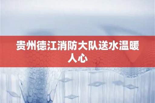贵州德江消防大队送水温暖人心